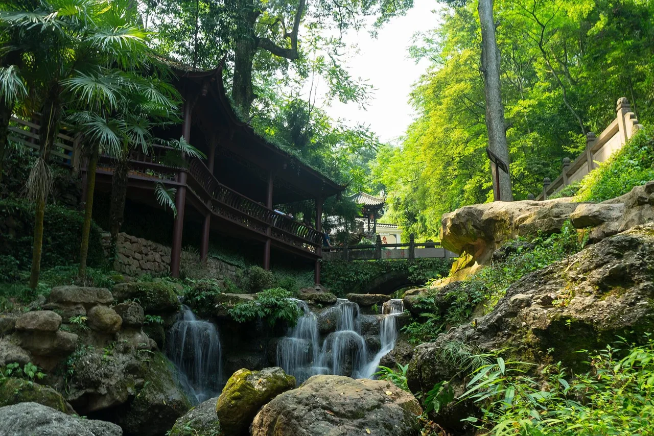Forest · 4 nights